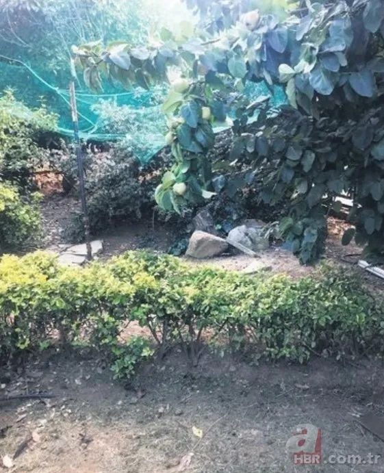 Burak Özçivit’in eşi Fahriye Evcen’den evlilik itirafı! Mutluluğun sırrını verdi 131