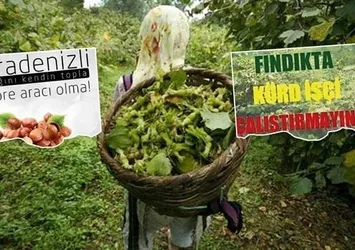 FETÖ-PKK'dan Karadeniz’de tehlikeli oyun