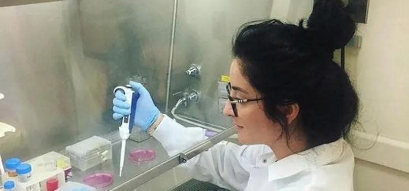 Koronavirüs aşısının ardından bir güzel haber de o daldan geldi