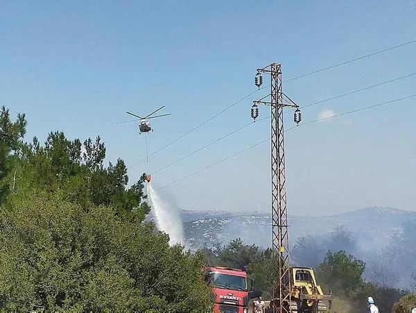 Son dakika: Çanakkale Ezine'deki orman yangını kontrol altına alındı - 3