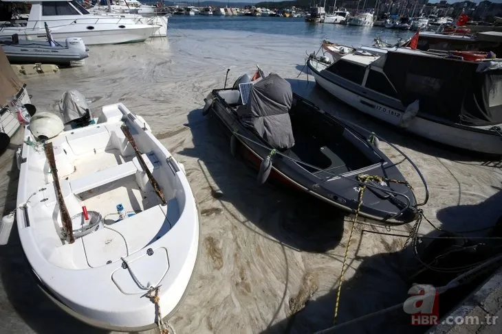 Marmara'da müsilaj seferberliği! İşte denizden toplanan salya mikarı