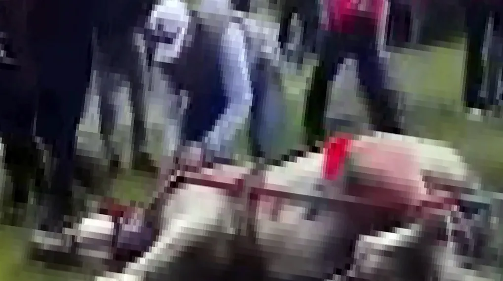 Koşamayan ata şiddet uygulayıp bayılttı