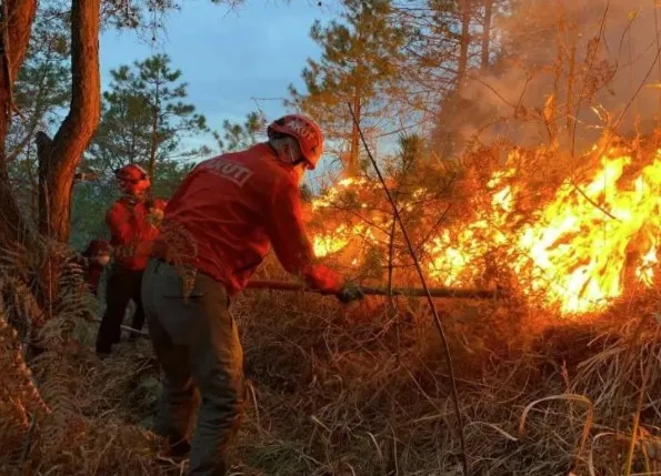 Karadeniz'de peş peşe yangın çıktı! 4 ilde 23 noktada alevler yükseldi - 8