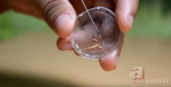 Pet şişe meğer bakın ne işe yarıyormuş? 19