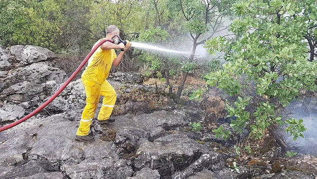 Tele1 ve HDP'den Lice'deki yangın hakkında algı operasyonu - 6