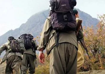 Mardin’de 1 PKK/YPG'li terörist teslim oldu