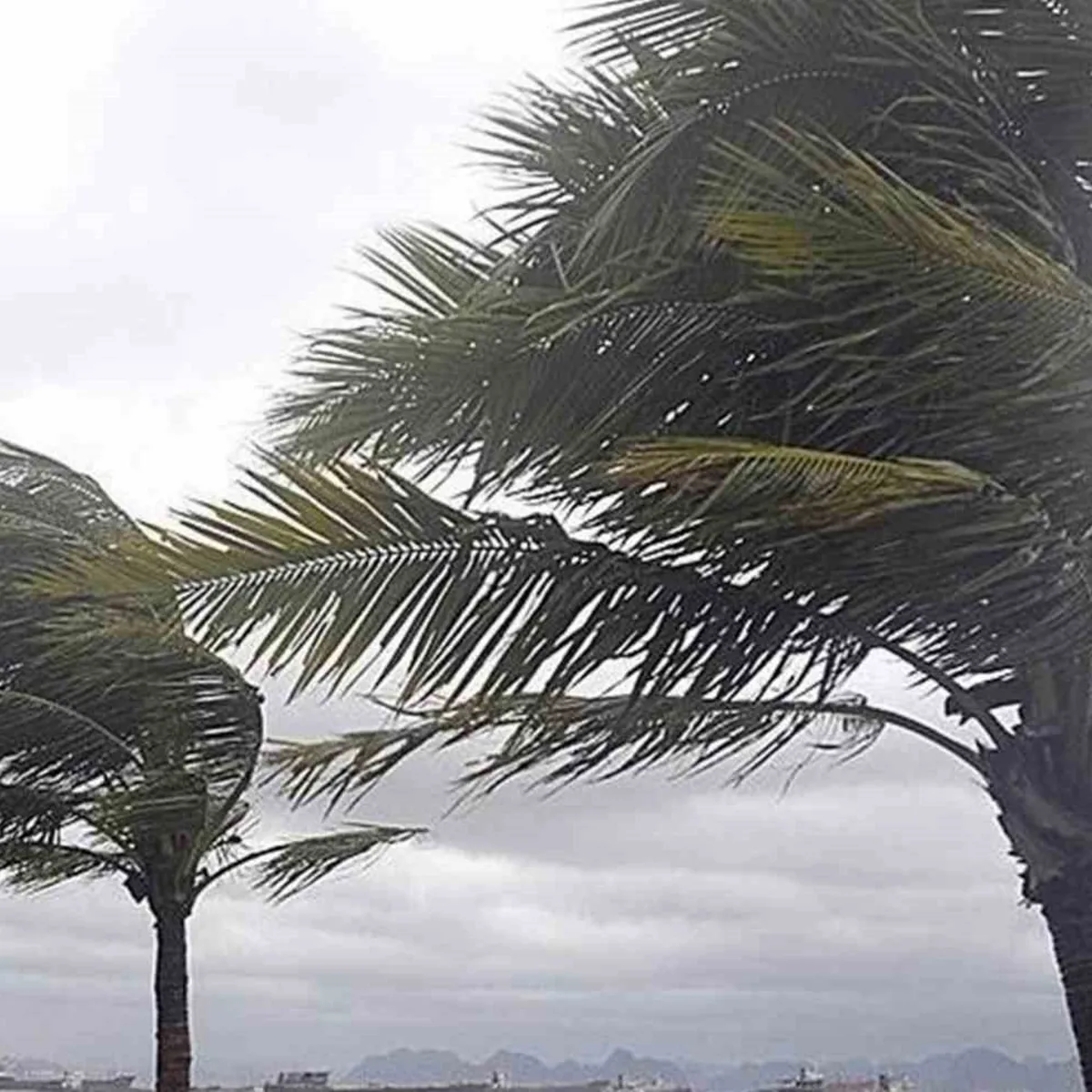 Meteoroloji uyarısı: Sarı ve turuncu alarm, İstanbul’da kar ve sağanak kapıda
