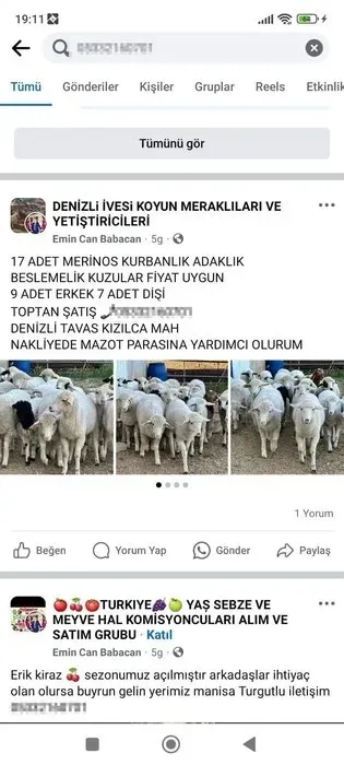 Sebze-meyve ilanlarıyla sosyal medyada milyonluk vurgun - 2