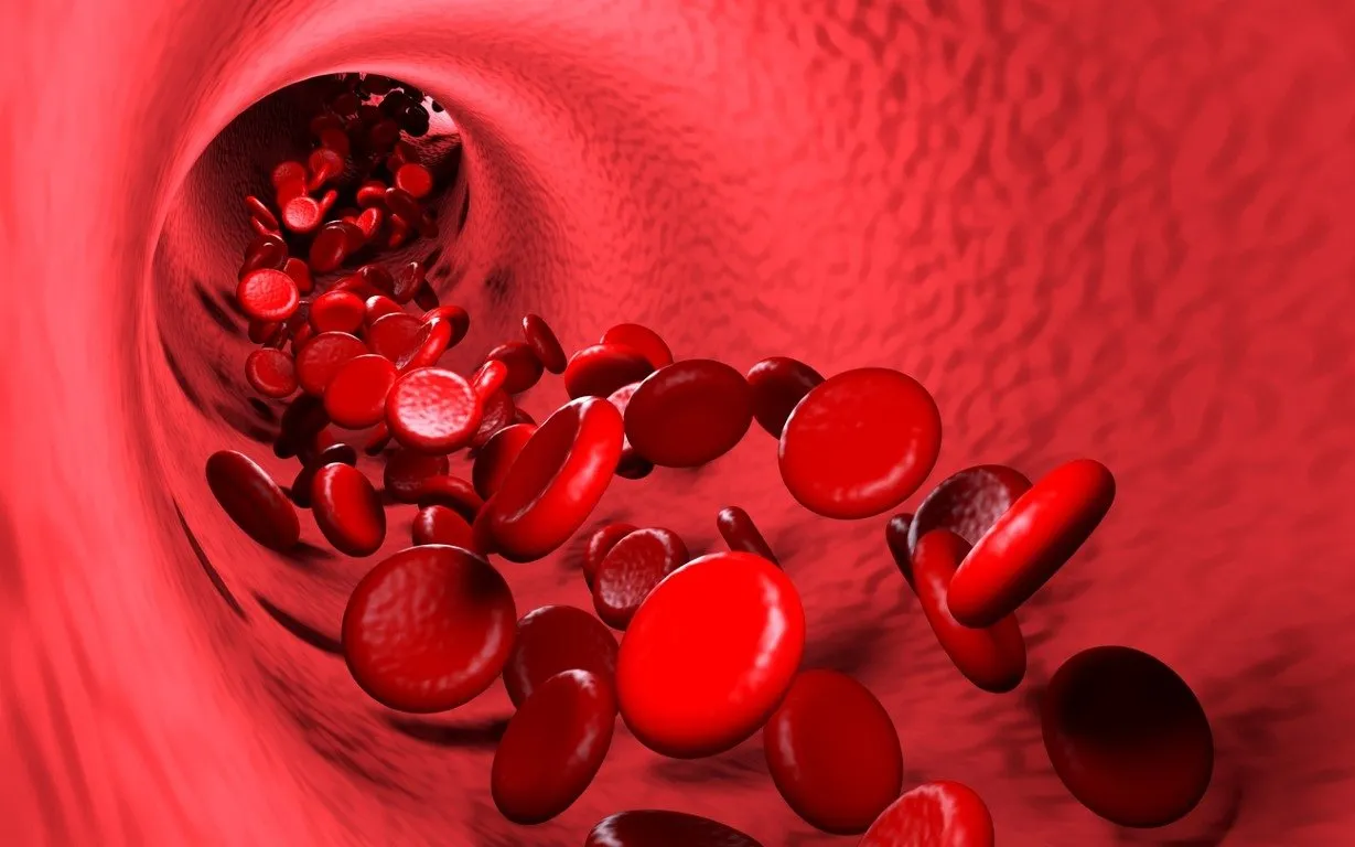 Hemoroid Nedir Hemoroid Nasil Gecer Iste Hemoroide Iyi Gelen Besinler