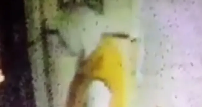Bursa’da yüzlerini cerrahi maske ile gizleyip bisikletleri çaldılar - 1