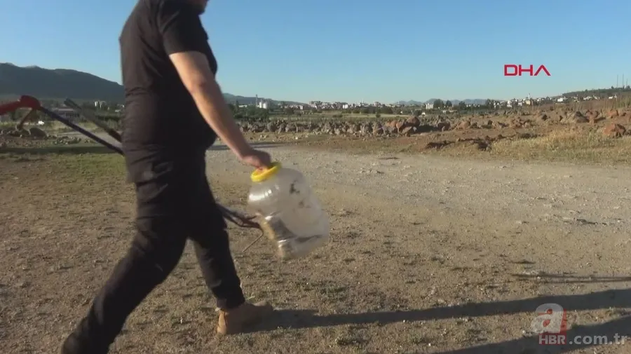 Tek ısırığı bile öldürüyor! Eve giren zehirli yılanı elleriyle yakaladı 🐍 20