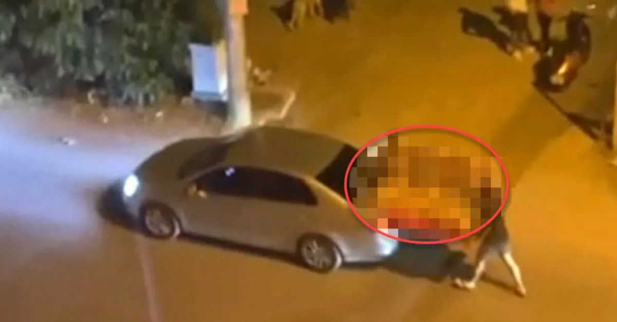 Antalya’da görenleri şaşkına çeviren manzara! Balkondan cep telefonuyla kaydetti: Yurdum insanı çok iyi!