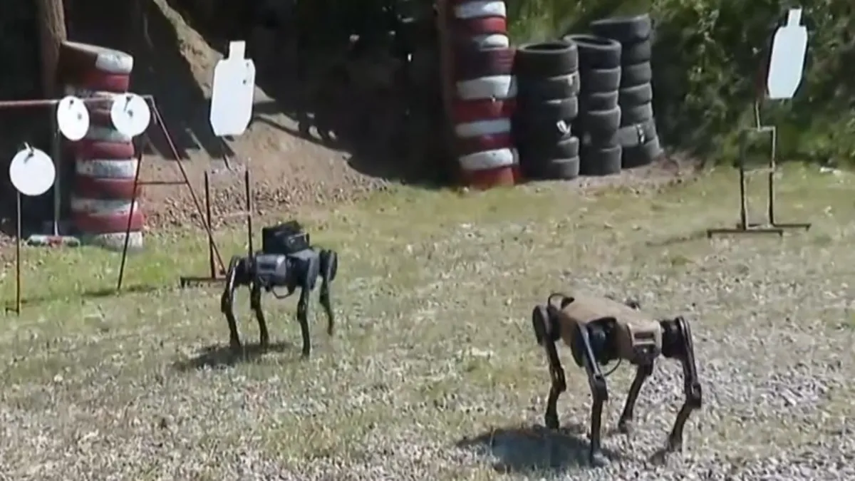 Robot köpek 'Sarbot' sahada Mehmetçiğin yol arkadaşı olacak