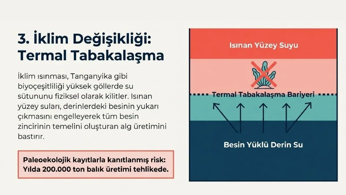 fao-raporu-uyardi-iklim-degisikligi-ve-kirlilik-dunya-balikciligini-tehdit-ediyor-1782816198885.jpg Artan deniz ve göl sıcaklıkları, balık türlerinin yaşam alanlarını etkiliyor. (Görsel: A Haber)