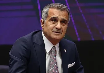 A Milli Takım Teknik Direktörü Şenol Güneş kritik maç öncesi konuştu: Buradan alınacak iyi sonuç Norveç maçıyla taçlanabilir