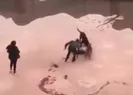 Pitbull saldırısına uğrayan Asiyeden ilk görüntü