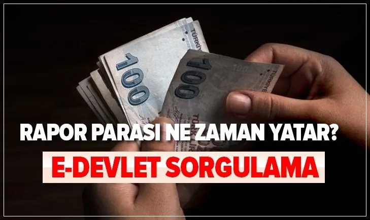https www ahaber com tr galeri ekonomi rapor parasi ne zaman hangi tarihte yatar 2020 e devlet rapor parasi sorgulama ekrani