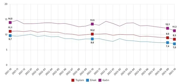 turkiyede-istihdamda-buyuk-artis-issizlik-oranlari-geriliyor-tuik-ekim-2023-isgucu-istatistikleri-1702279845020.jpeg