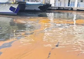CHP'li İzmir Büyükşehir Belediyesi'nin "temiz" dediği Körfez aşırı kirli çıktı!