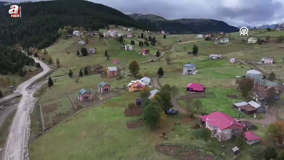 Trabzon’un yüksek kesimlerini vargit çiçekleri süsledi
