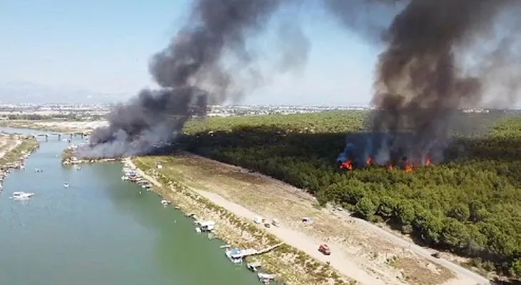 Antalya’da korkutan yangın! Teknelere sıçradı