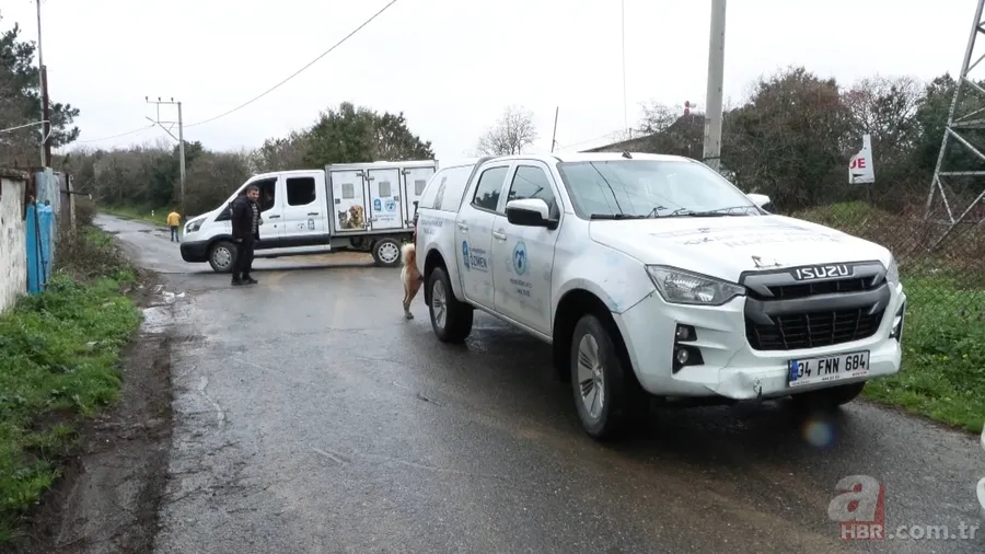 Başıboş köpekler dehşet saçtı! 6 yaşındaki Şirin'e saldırdılar 6
