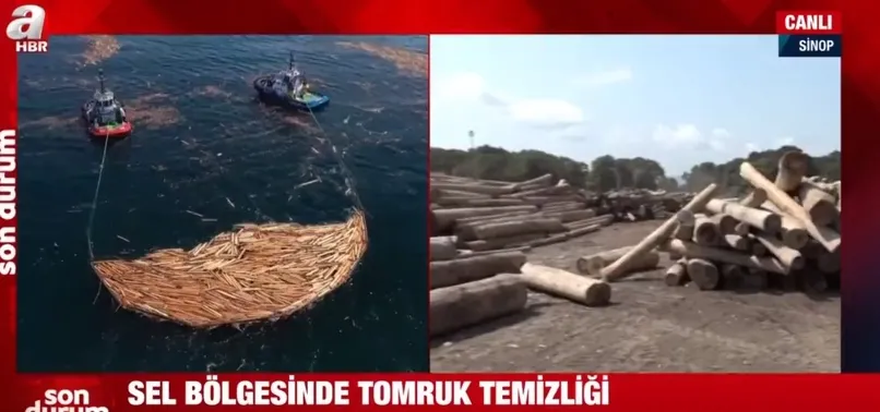 Afet bölgesi Sinop’ta tomruk temizliği