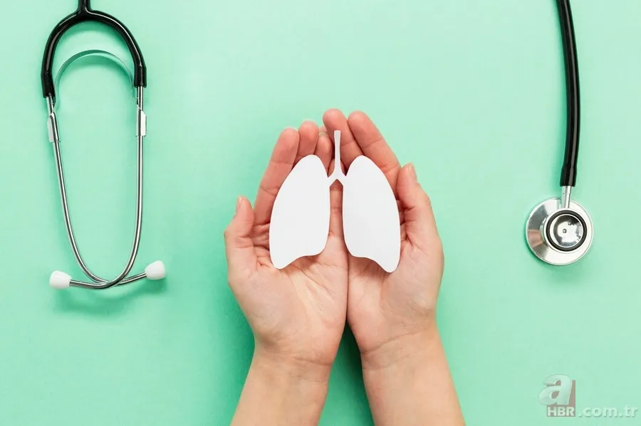 13 Mart ne günü, ne oldu? Dünya Böbrek Günü nedir, ne zaman ortaya çıktı? 1