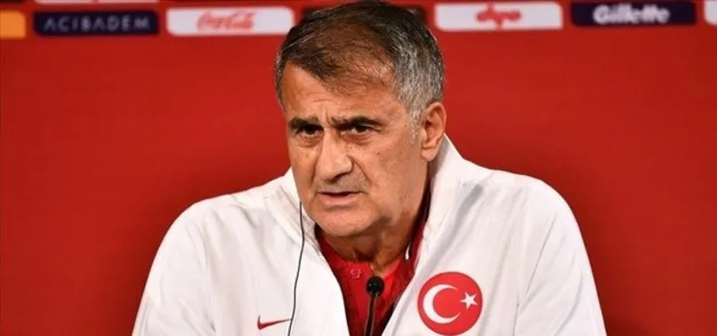 Şenol Güneş'ten Fransa maçı öncesi 'Barış Pınarı' mesajı: Kimse merak etmesin...