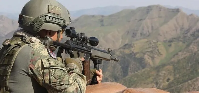 Siirt'te teröristlere hava destekli operasyon