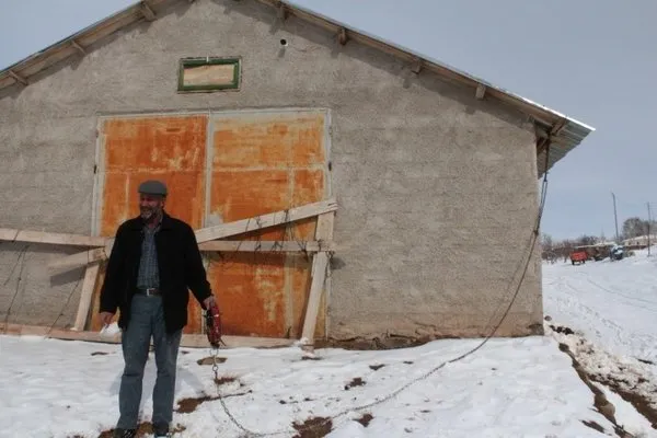 koye inen kurt surusu kopegi parcaladi