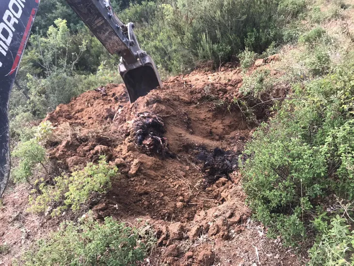 İznik'te 6 bin tavuk ölüsü bulundu - 2