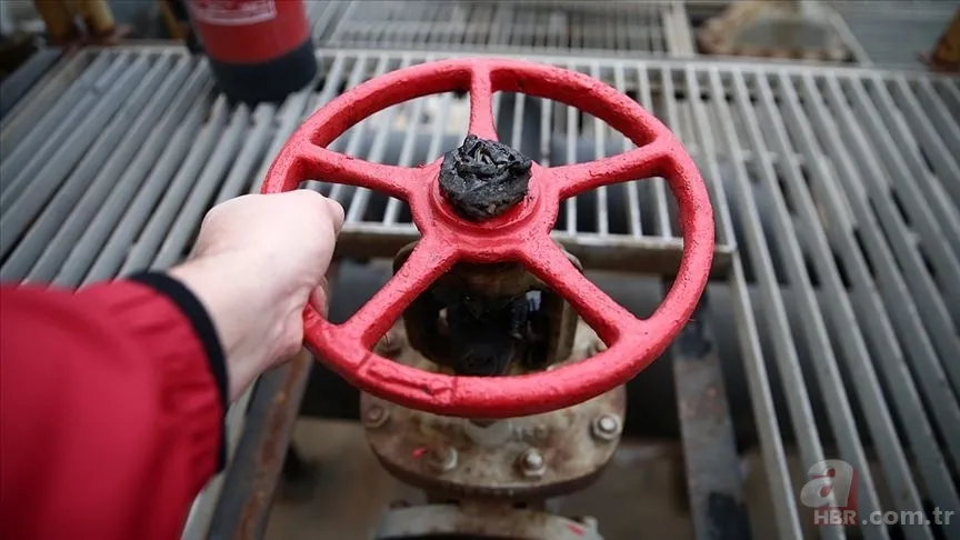 Kasım ayı doğalgaz desteği yattı mı, ne kadar yattı? Doğalgaz destek ödemesi nereden, nasıl alınır? Şartları neler? DOĞALGAZ DESTEĞİ BAŞVURU EKRANI 11