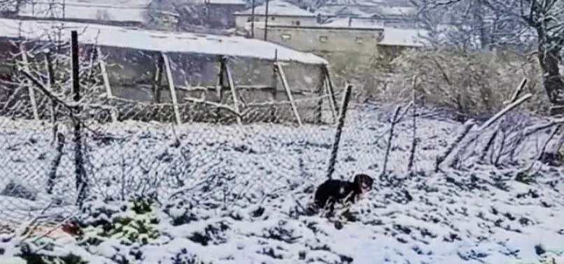 Beklenen kar Balkanlar'dan giriş yaptı