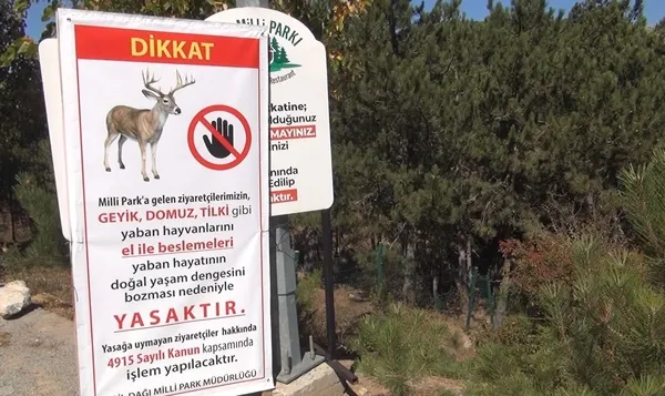geyiklerin-elle-beslemek-yasaklandi-idari-para-cezasi-var-1665048981658.jpg Geyiklerin elle beslemek yasaklandı! İdari para cezası var - 2