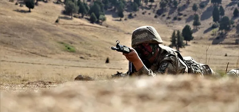 PKK'nın seçim öncesi kaos planı çöktü