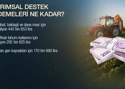 Tarım Kredi’den çiftçiye özel destek! Tarımsal destek ödemeleri ne kadar?