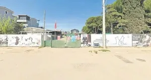 CHP’li belediyenin barınağında skandal