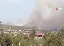 TÜBİTAKta ormanlık alanda yangın