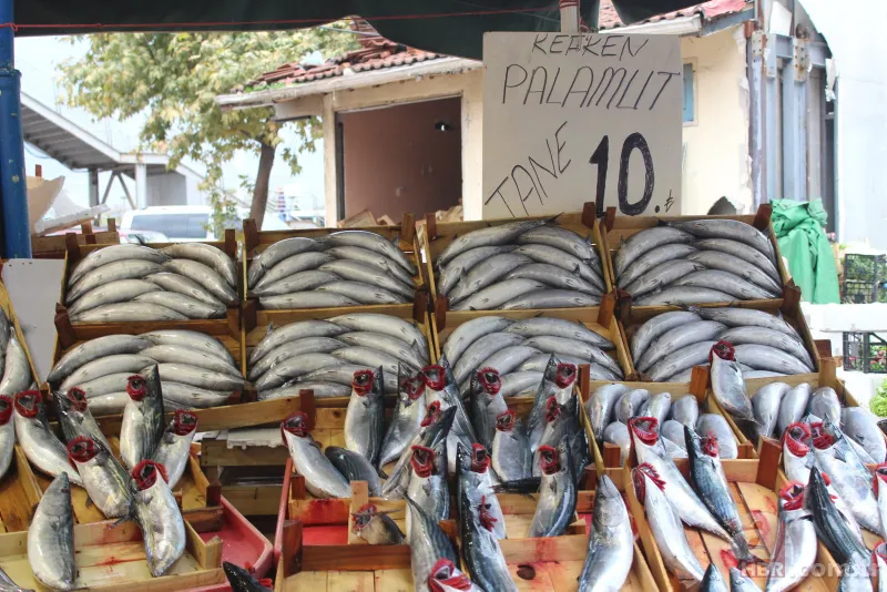 Balık fiyatları ne zaman düşer | Halden tezgaha bölge bölge fiyatlar değişiyor 17