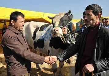 Kurban alırken nelere dikkat etmeli
