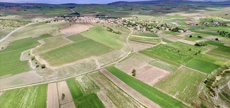 3 milyon hektar arazi tarıma açılıyor