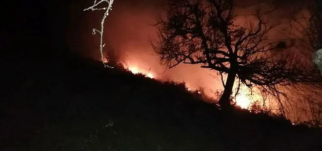 Samsun’daki 13 yangın kontrol altına alındı