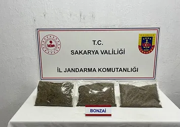 Sakarya'da bir evde 2,5 kilo bonzai bulundu
