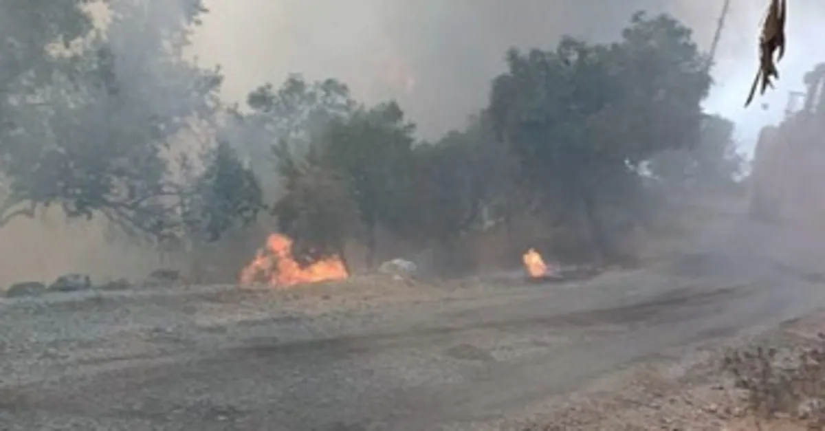 Muğla Milas'ta orman yangını çıktı!