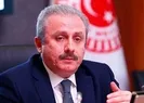 TBMM Başkanından 23 Nisan kutlamaları için çağrı