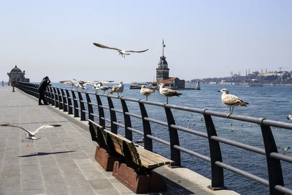 en-ufak-bir-depreme-bile-dayanacak-gucu-kalmamis-dev-kayalar-ile-dolgu-yapilacak-kiz-kulesi-ne-zaman-ziyarete-1662529280725.jpg En ufak bir depreme bile dayanacak gücü kalmamış! Dev kayalar ile dolgu yapılacak! Kız Kulesi ne zaman ziyarete açılacak? Tarih belli oldu - 3