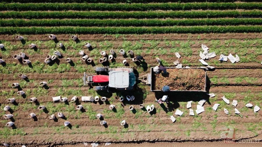 Mazotun tamamı, gübrenin yarısı devletten: Çiftçinin maliyeti düşecek 14