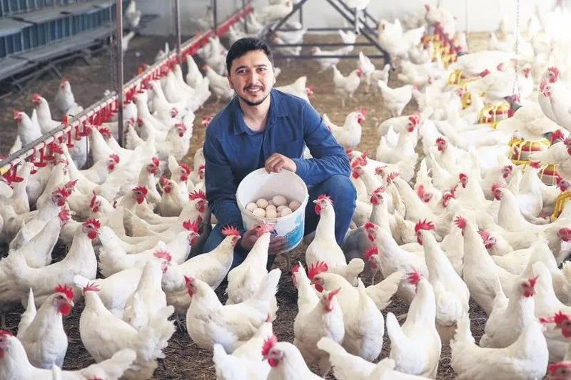 Muhendisligi Birakip Tavuk Ciftligi Kurdu