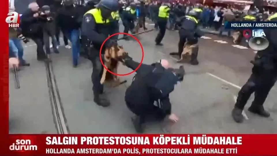 Köpeğin ısırdığı protestocuyu copladı! Avrupa'da insanlık dışı muamele